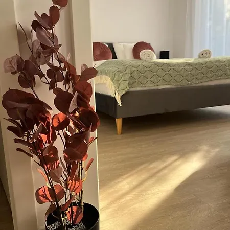 Mathias Premium Segedyn