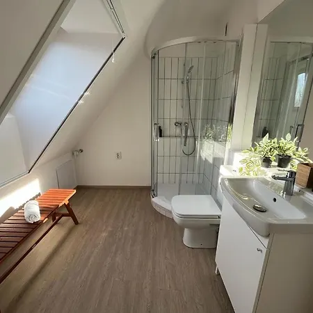 Mathias Premium * Segedyn